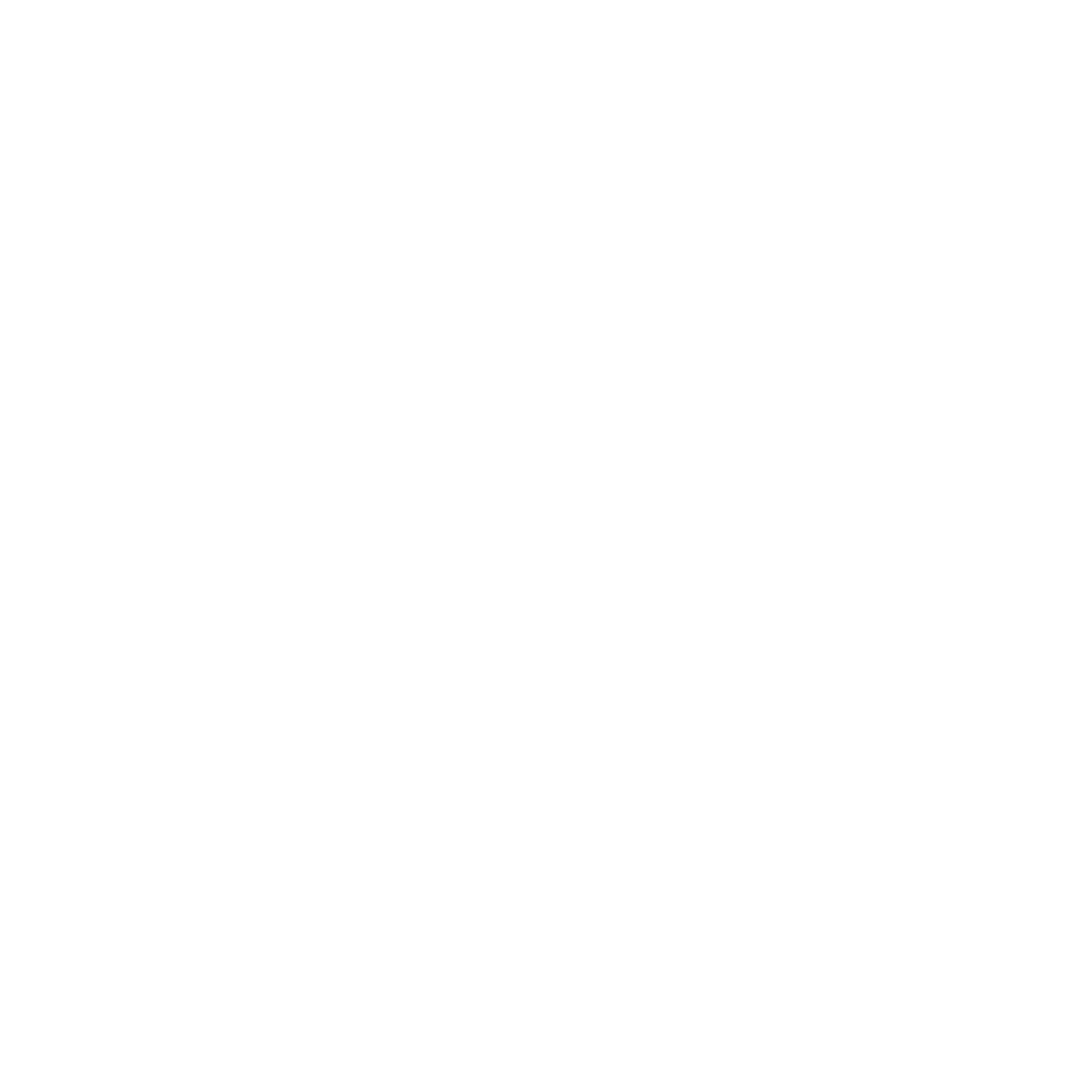 Steamgo